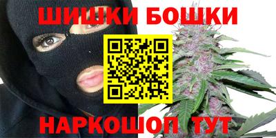 индика Жуковский