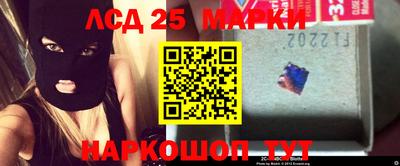 индика Жуковский