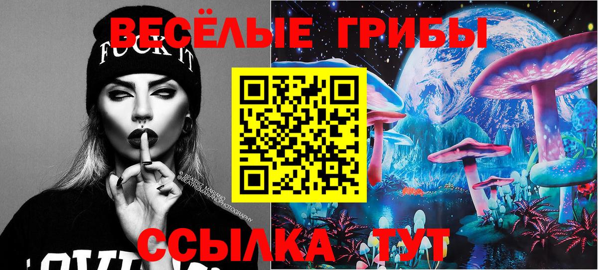 Псилоцибиновые грибы Magic Shrooms Ставрополь