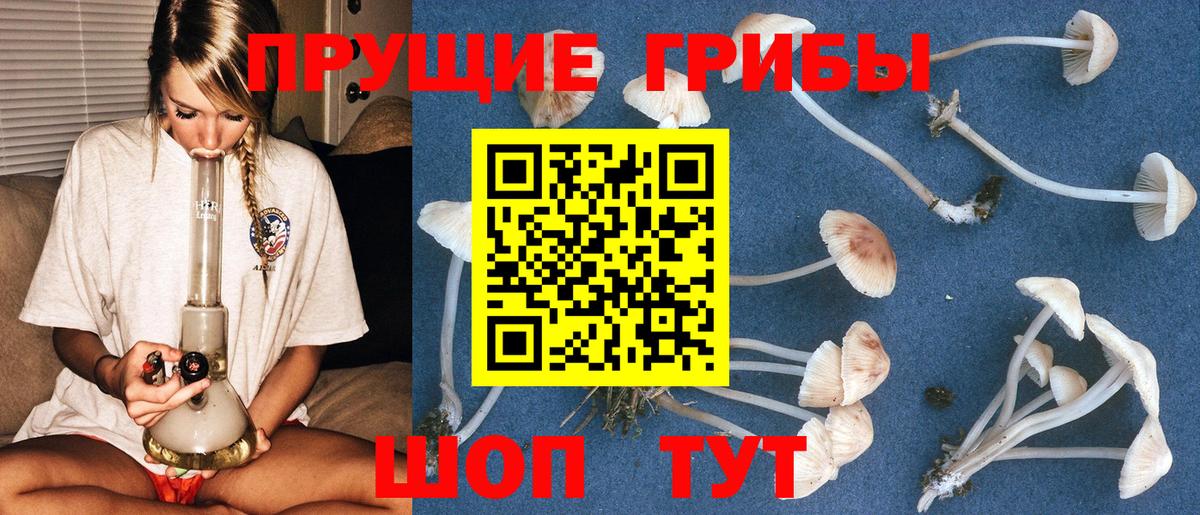 Псилоцибиновые грибы Psilocybe  Вход с VPN  Ставрополь 